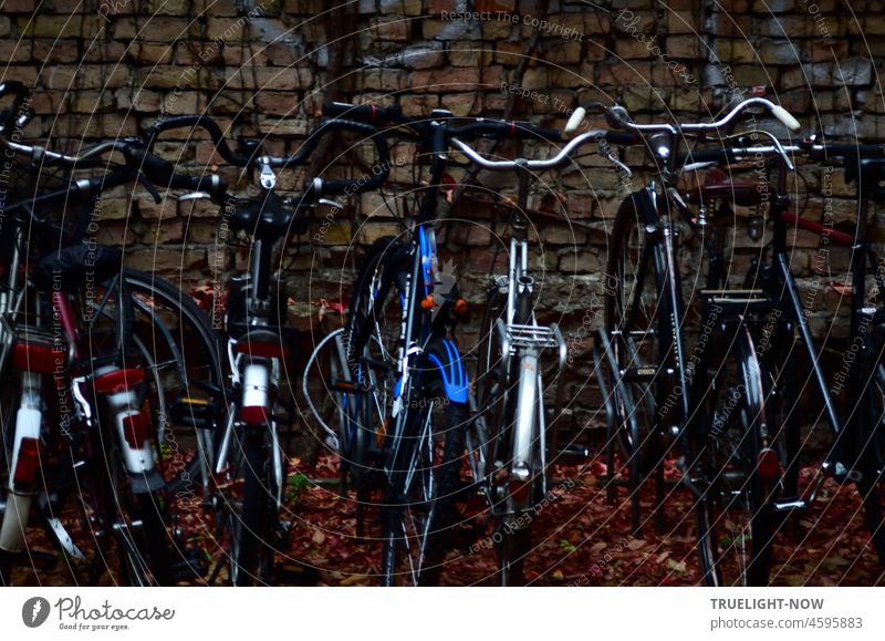 Night it wants to be / In the backyard bicycles / Standing close together Twilight Parking space Backyard darkness turned off switch off Brick wall Bicycle rack