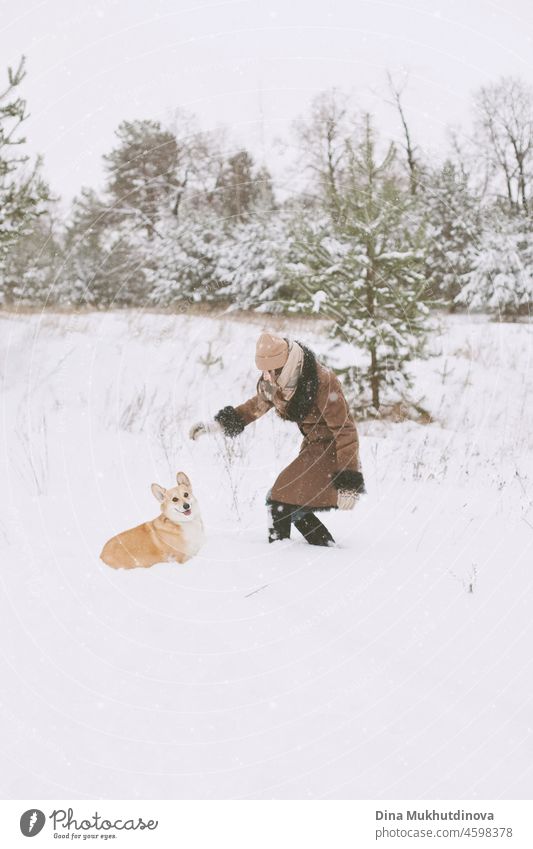 Woman playing with her corgi dog in winter forest in the snow on week end white female fun caucasian active woman person pet walking happiness joy outside