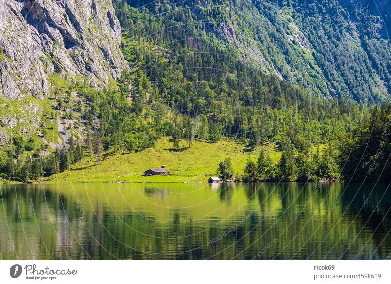 View of the Obersee in the Berchtesgadener Land in Bavaria Lake Obersee Fishunkelalm Tree Alps mountain Berchtesgaden Country Rock Forest Landscape Nature