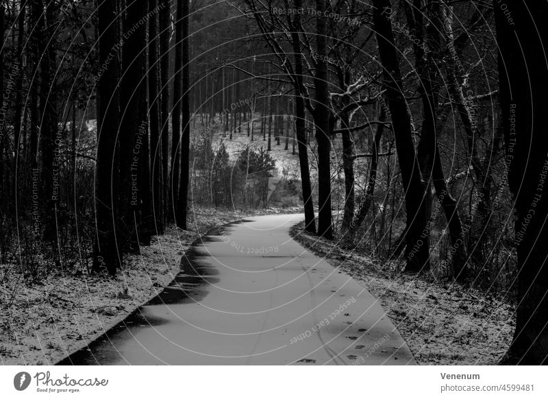Small narrow bike path in a forest in winter with a little snow, black/white off Light Shadow Tree trees Holiday season Germany Afternoon cycle path Cycle path