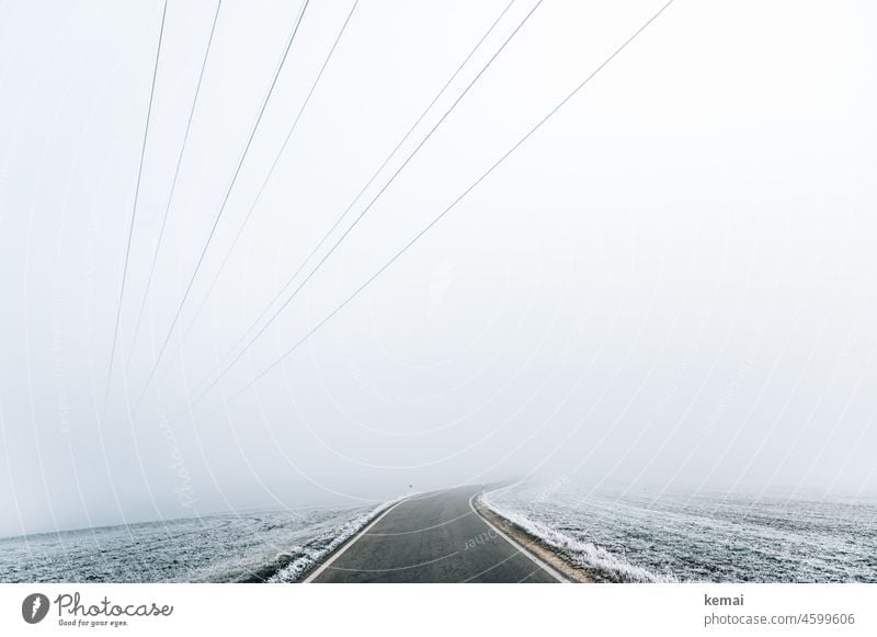 Lonely winter road leading into the fog Street Winter void Cold Loneliness Ice Snow White Fog Gloomy dreariness power line Frost Landscape Exterior shot Weather