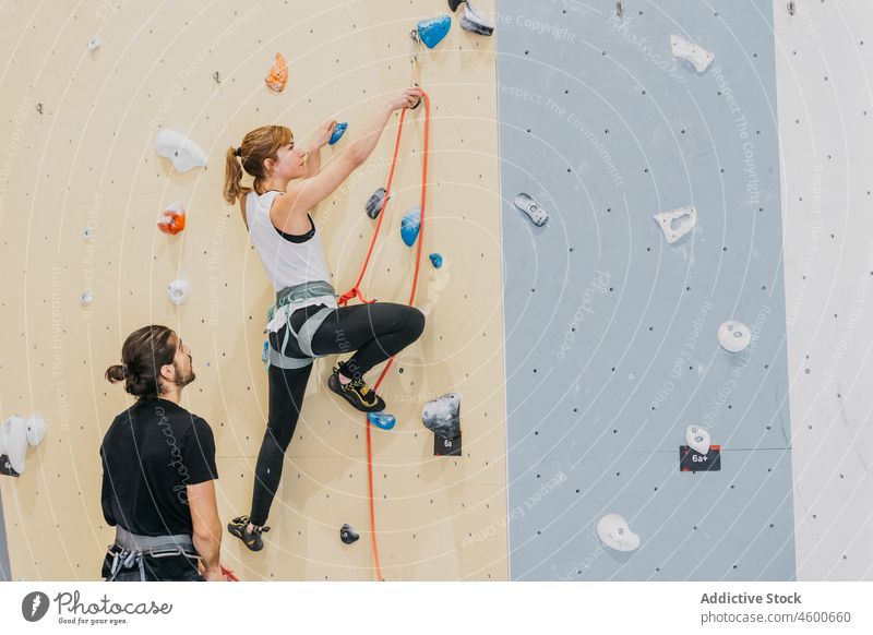 Couple practicing climbing on wall sportspeople training climbing wall alpinism exercise practice support help rope belay alpinist healthy lifestyle hobby
