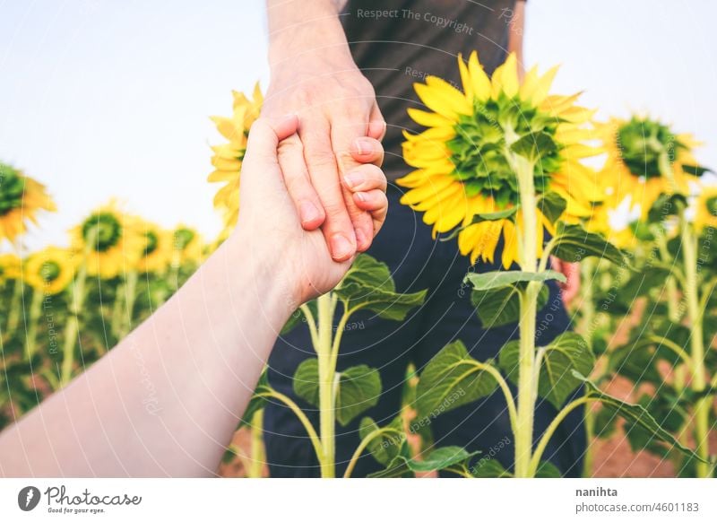 couple holding hands in a field of sunflowers loyalty work co-worker partner faithful love sustainability fair trade crops agriculture beautiful emotion