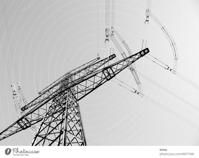 Purity Law | Green Promise Electricity pylon power supply Energy industry Vital Energy Tower Cable stream Tall Force Dangerous vital technique Worm's-eye view