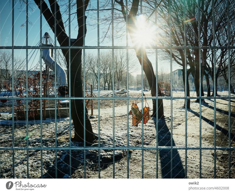 margin Playground Fenced in Grating Protection Metal Leaflet Hang Autumn leaves Vista trees off Winter Hoar frost Sunlight Back-light Shadow Contrast