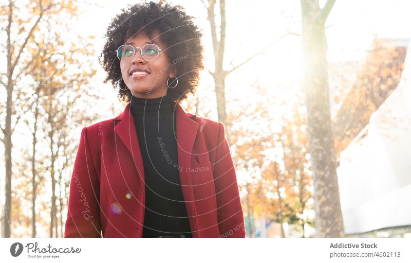 Positive black female in crimson jacket and turtleneck in sunlight woman park autumn afro smile hairstyle curly hair appearance dreamy eyeglasses trendy