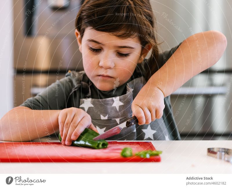 Little girl cutting green pepper in kitchen cook culinary kid home domestic child helper apron slice knife homemade vegetable counter healthy food childhood
