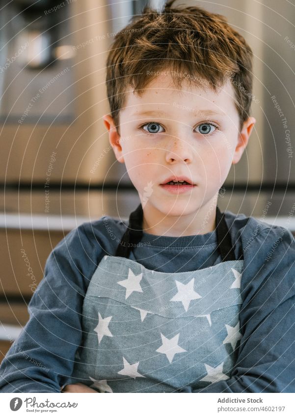 Little boy in apron in kitchen cook home kid domestic prepare child kitchenware culinary brown hair blue eyes at home charming cute innocent gaze helper