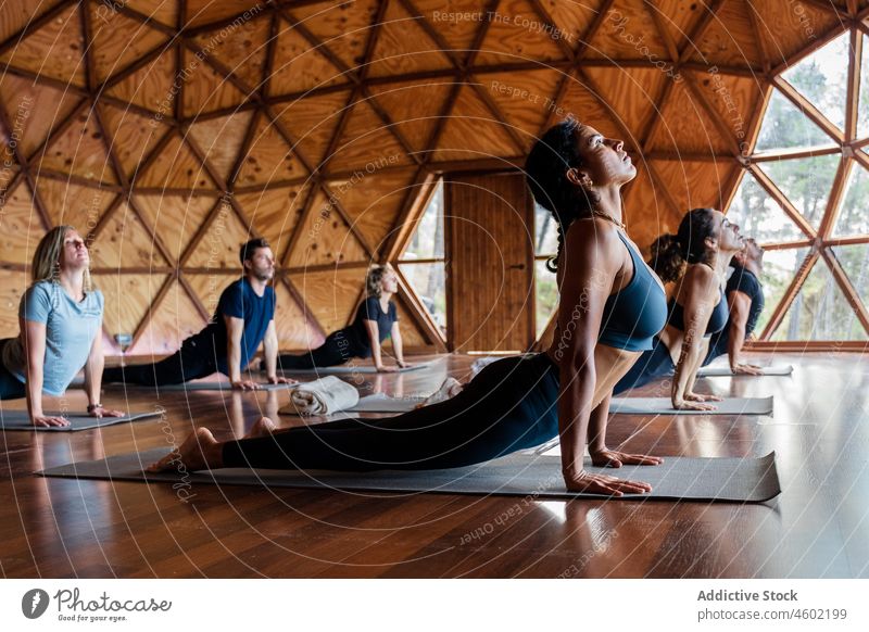 People practicing Cobra asana in studio people yoga bhujangasana cobra pose session practice healthy lifestyle training wellness mindfulness fit flexible