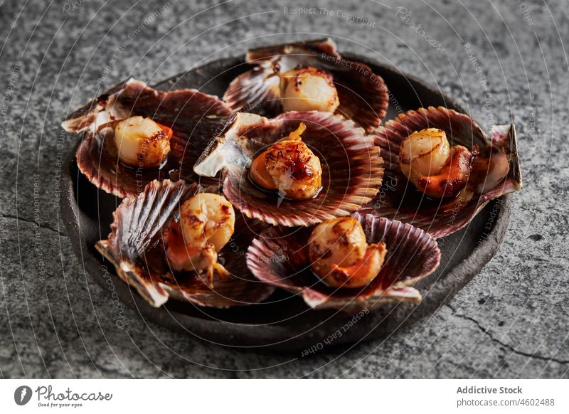 Delicious scallops served on shells against concrete table seafood seashell nutrition delicious gourmet fresh cuisine tasty yummy plate appetizing shellfish