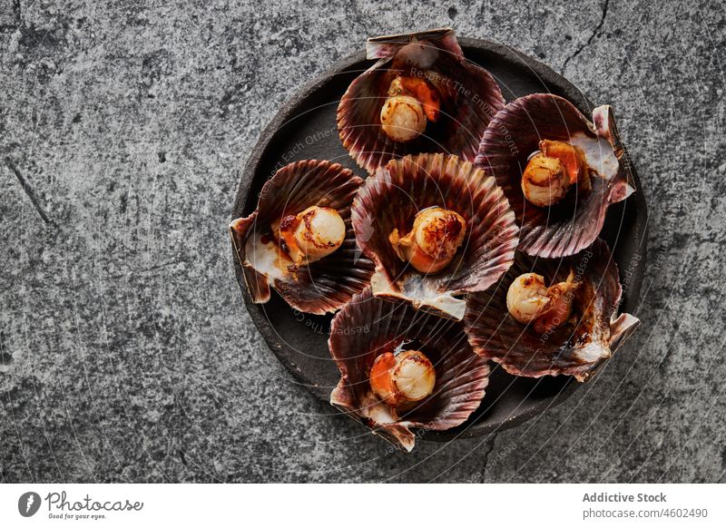 Delicious scallops served on shells against concrete table seafood seashell nutrition delicious gourmet fresh cuisine tasty yummy plate appetizing shellfish