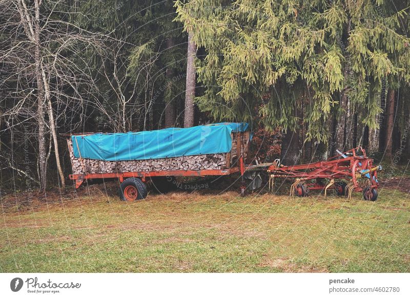 energieberater Holz Anhänger Energie Wald Waldrand Brennstoff Heuwender Landwirtschaft Traktor Transport Aufbewahrung Plane Vorsorge Rohstoff Nachhaltigkeit