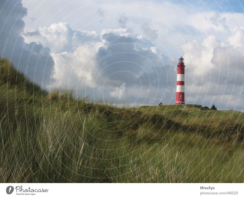 Lighthouse on Amrum Red White Ocean Clouds Loneliness Tree Bushes Vacation & Travel Meadow Nature Germany Exterior shot Island North Sea Sky Beach dune Sun
