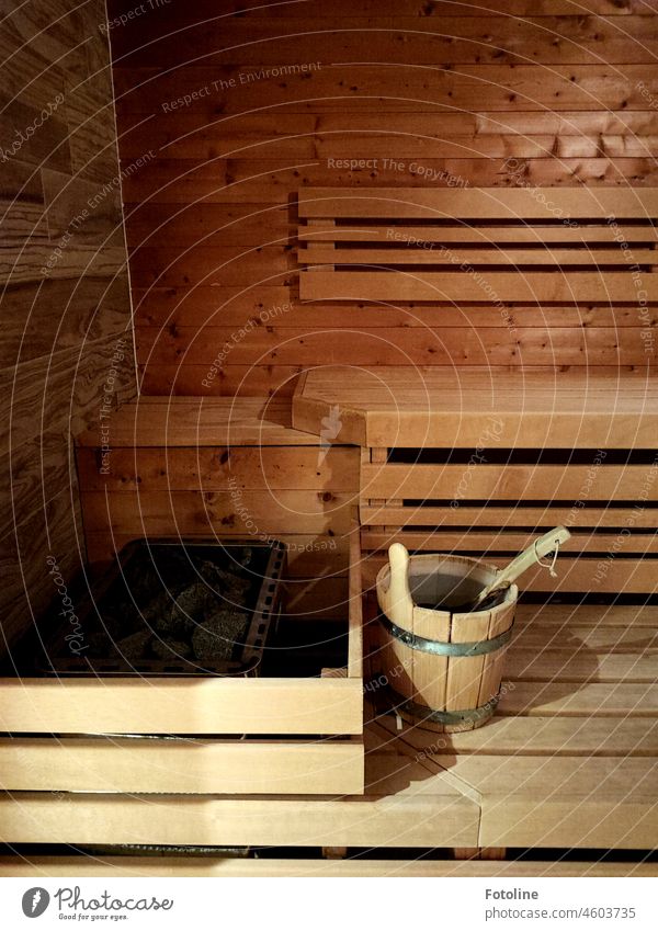 After a day on the dune, just warm up again in the sauna. Hach does that good! Sauna Colour photo Relaxation Wellness Spa Healthy Interior shot Wood