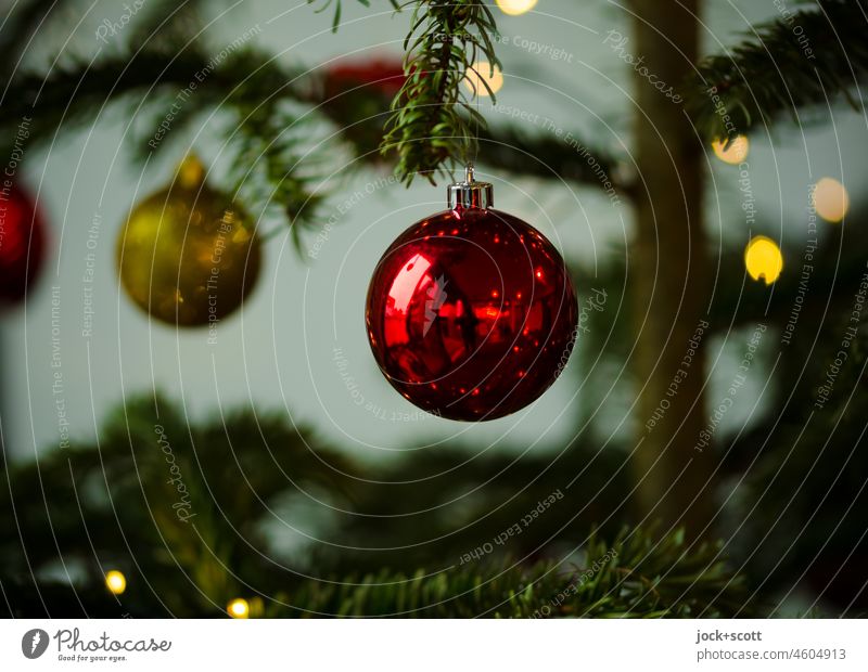 Christmas tree balls hang shiny on fir greenery Christmas & Advent Christmas decoration Festive bokeh christmas tree blurriness Christmassy Christmas mood