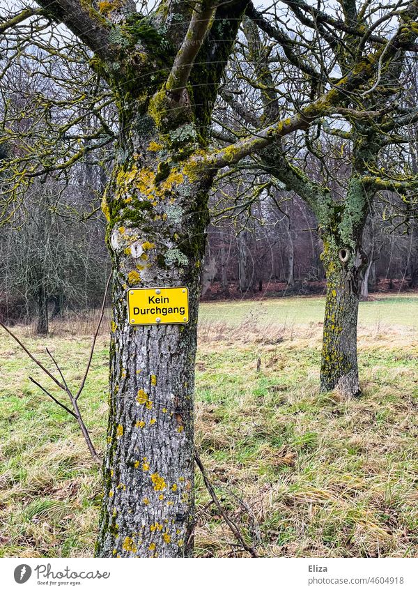 Tree on which hangs a sign with the inscription "No passage". no passage private property Bans Nature Garden Passage