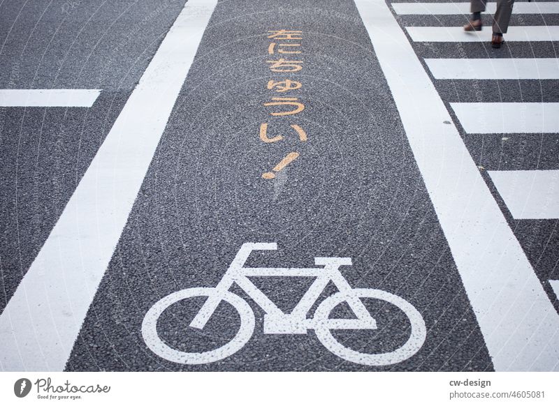 Japanese cycle path next to a crosswalk Cycle path Asphalt Cycling Traffic infrastructure Lanes & trails Street Road traffic Means of transport Mobility Bicycle
