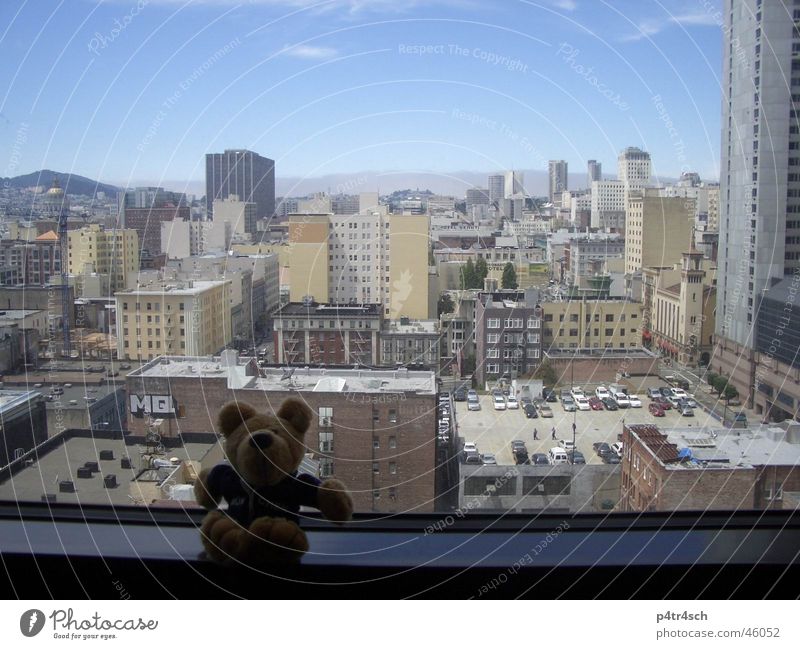 Bear on journeys Cuddly toy Window Vantage point High-rise San Francisco Sky Town view from the renaissance hotel skyskraper blue