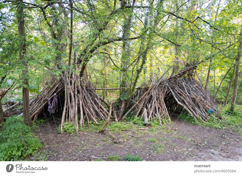 Building teepee in the forest Tee Pee Scouts habitation Sticks building logs branches House (Residential Structure) Forest Deciduous forest dwell Nature Green