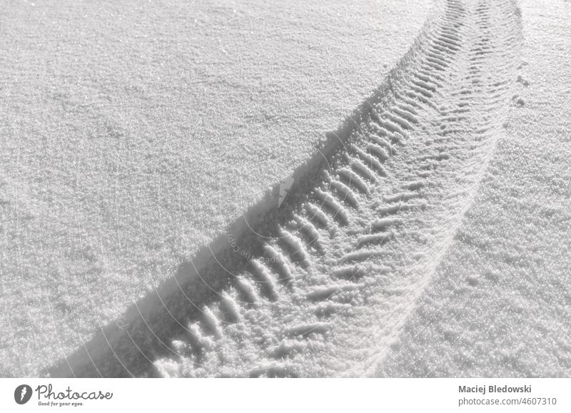 Winter tire mark on snow, selective focus. winter imprint safety season drive trip white background transport nature surface outdoors cold trail shape weather