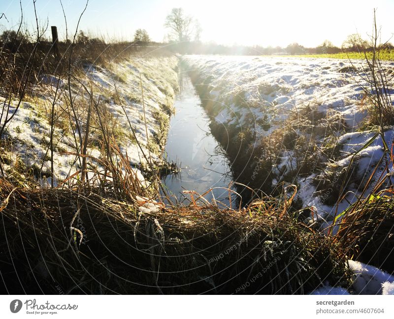 splitter Hoar frost Winter Cold sunny River Brook Runlet Field Snow Snowscape Direct dead straight grasses edge bank Landscape Frost Nature Ice Exterior shot