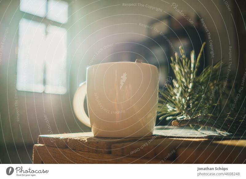A white cup of coffee on a wooden box in the sunlit room Coffee Cup White Drinking Beverage warm Hot Winter Wooden box Fir branch itinerant sun-drenched