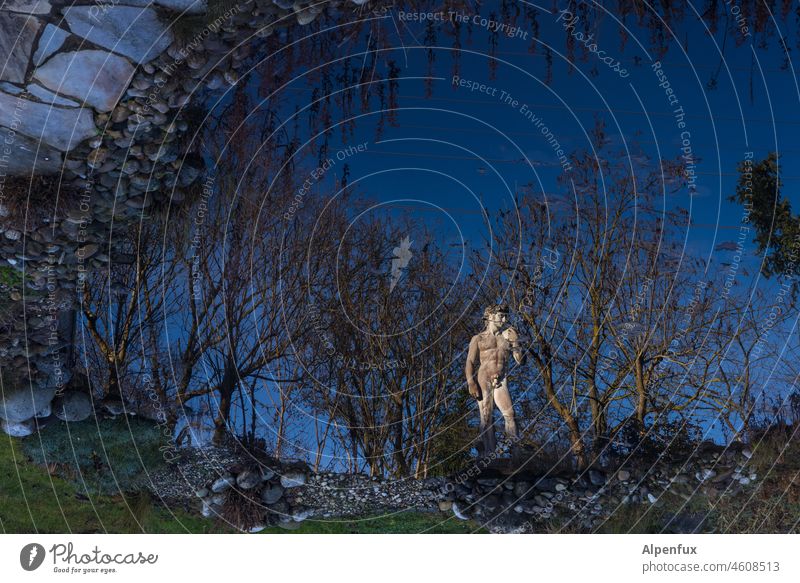 NUDISM King David Statue reflection David and Goliath Exterior shot Pond Dark Sky Naked Human being Shadow Colour photo blurriness status symbol Blue Water