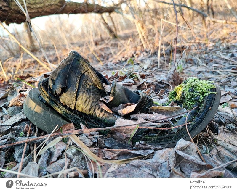 Lost shoe. Is anyone missing it? I know where to find him. Footwear Clothing Old Moss Autumn leaves chill Frozen undergrowth lost Broken Transience