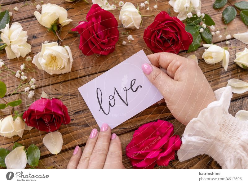 Hands with card LOVE near red and cream flowers close up on a wooden table hands handwritten always love romantic roses valentine spring floral greeting