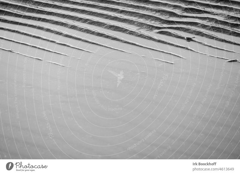 The tide comes in the North Sea black-white Tracks Tide Day daylight Waves Prints coast structure Mud flats Pattern Wet Low tide Beach Nature Sand Exterior shot