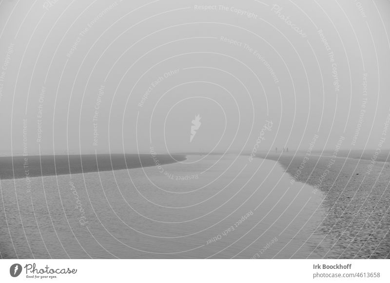People on the horizon in foggy weather on Rømø Idyll Calm Gloomy Island Horizon Far-off places Target Germany Nature reserve Black & white photo bank
