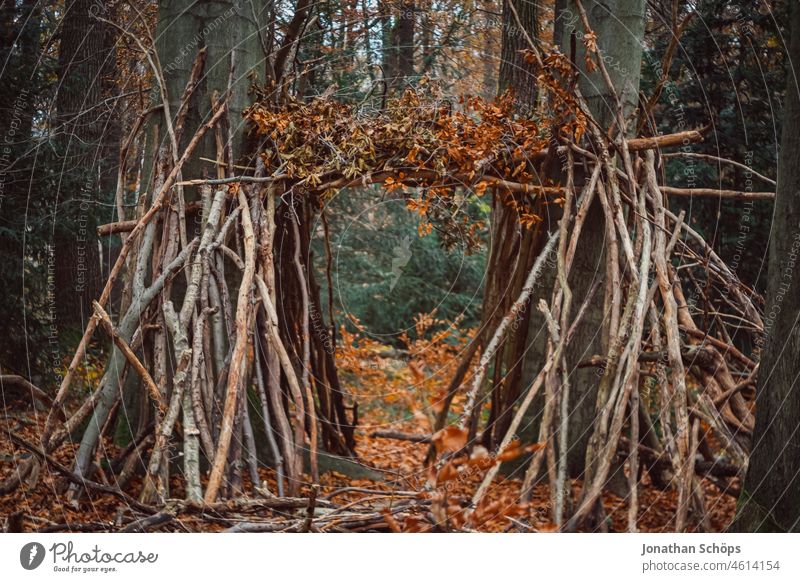 Gate built from branches in forest on trees in autumn forest path Autumn tilt effect blurriness foliage off Lanes & trails Forest Nature Tree Environment
