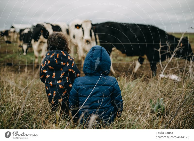 rear view children looking to cows Rear view Child childhood Brothers and sisters Curiosity Happiness Authentic Leisure and hobbies Exterior shot Joy