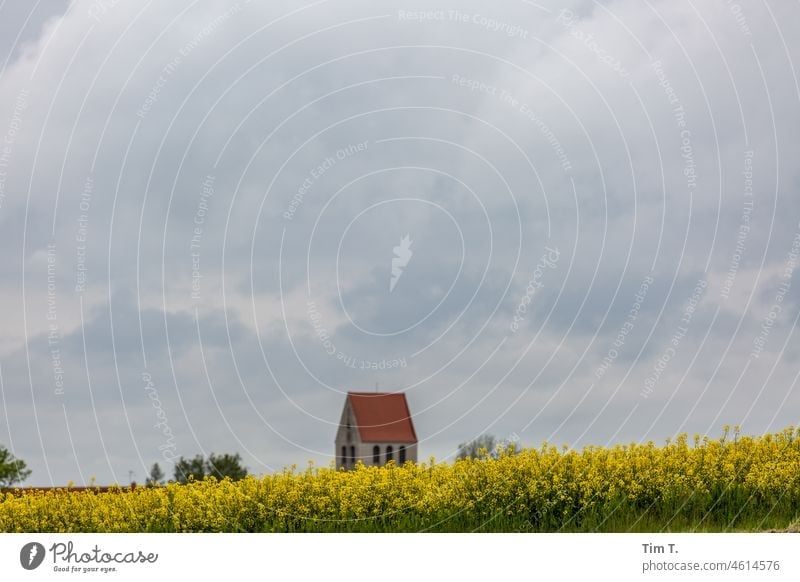behind a rape field you can see a church tower Church Church spire Field Spring Canola Canola field Brandenburg Sky Clouds Yellow Landscape Nature Blue