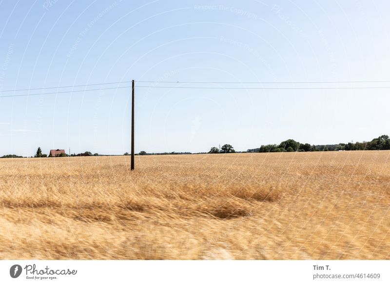 a current overhead line leads over a summer field . A roof and trees can be seen on the horizon. Brandenburg Summer Field Overhead line Landscape Sky