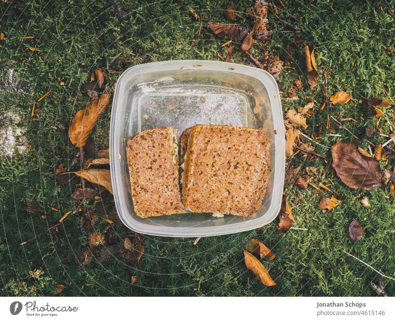 Bread box on forest floor in autumn Tin safekeeping Eating Meal Forest out outdoor hike Supplies forest hike Hiking Nature Exterior shot Colour photo