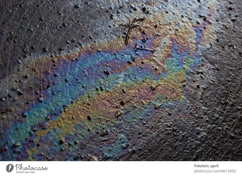 Oil painting II | oil shimmers in all colors on the way Cooking oil Oil slick Environmental pollution Environmental protection Colour photo Dazzling soiling