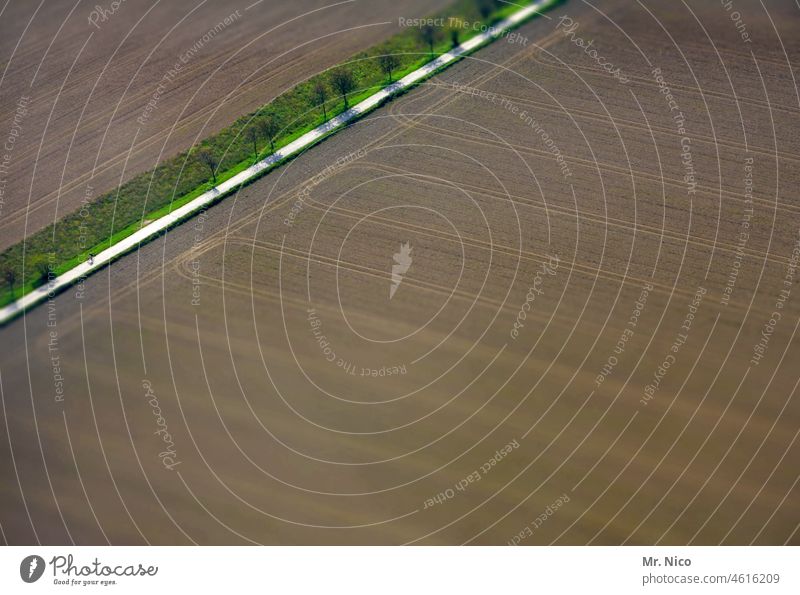 Agricultural land Agriculture Field Tracks Street Country road Tractor track Environment Lanes & trails Growth leave traces Aerial photograph Row of trees