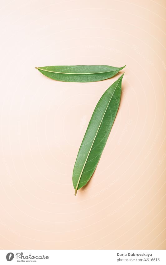 Numeral 7 from green leaves object type eco number season text raw vitamin numeric vegetarian organic greens healthy element natural background letter summer