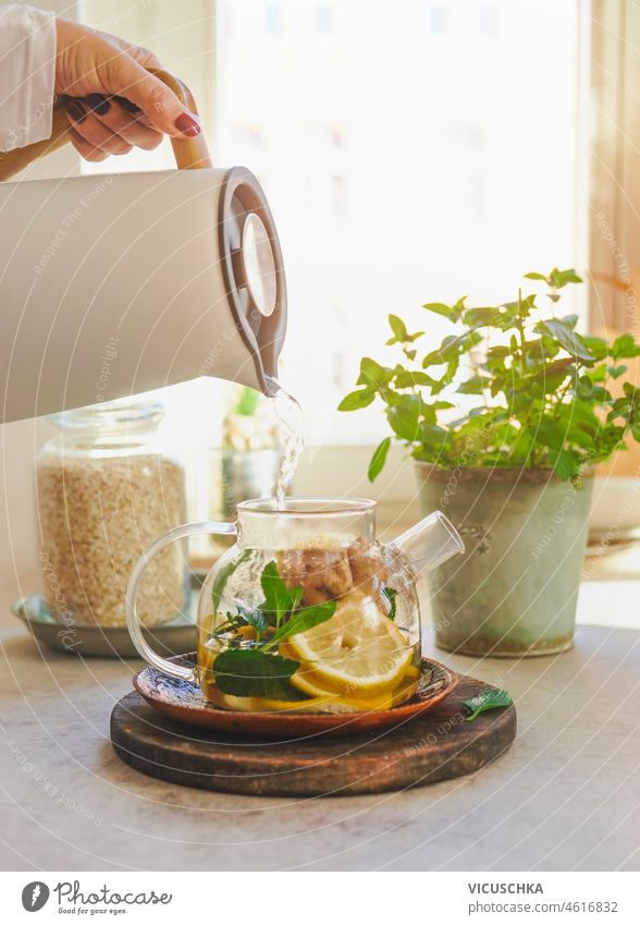 Healthy tea with lemon, ginger and mint in glass tea can on kitchen table with herbs healthy window background natural light hand pouring water heater