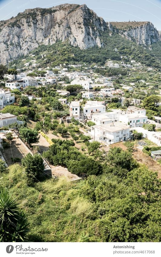 View of Capri Island Town Village Vantage point houses White Building mountain Rock Stone Nature Landscape trees Weather vacation ardor Steep Sky Horizon