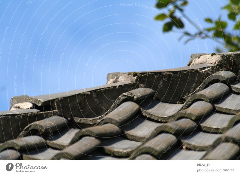 Old tiled roof Roof Brick Blue sky
