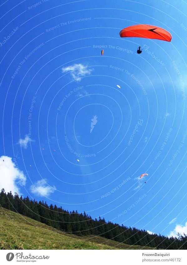 Quiet air traffic #2 Clouds Multicoloured Paraglider Air White Slope Coniferous forest Tree Grass Meadow Hover Hiking Westendorf Federal State of Tyrol Sky Blue