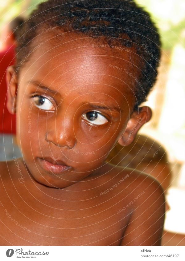 big eyes Large Black Child Boy (child) Africa Ethiopia Loyalty Innocent Summer Physics Eyes Multicoloured Warmth