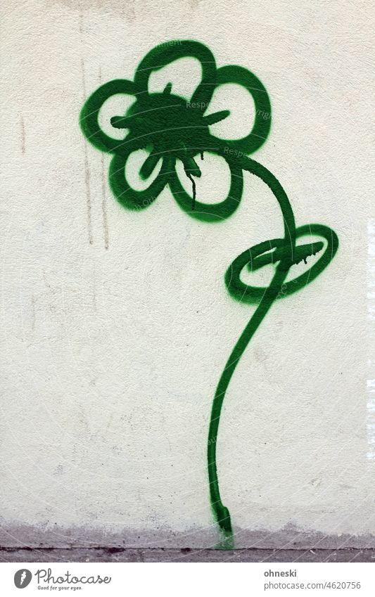 Flower as graffiti on a wall street art Graffiti Wall (building) Facade Street art Mural painting Green Hope Exterior shot