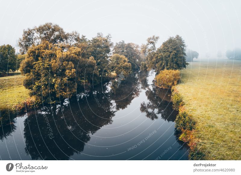 Foggy day with view from Staudernheimer bridge on the Nahe III Autumn Climate Beautiful weather Joy Moody Emotions River Tree Enthusiasm Flow Curiosity