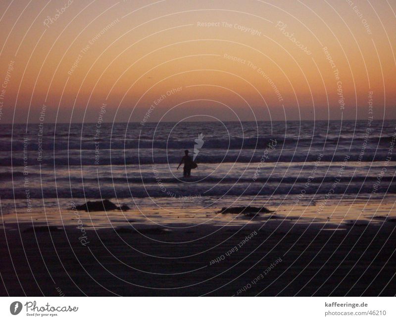 Surfing USA Sunset Ocean Pacific Ocean Physics Waves Surfer Beach Warmth Evening Sand