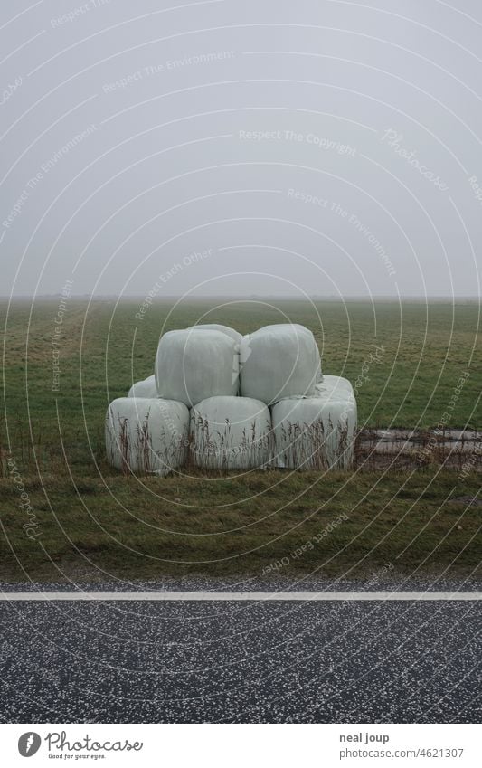 A pile of straw bales wrapped in foil, like giant marshmallows on the side of the road Landscape Agriculture Bale of straw plastic foil Packaging Fog Gloomy