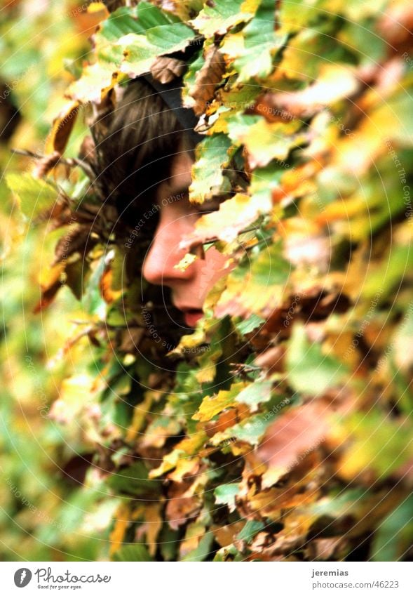 The boy in the bush Fleeting Leaf Green Yellow Analog Slide Depth of field Exterior shot Face Hide Closed