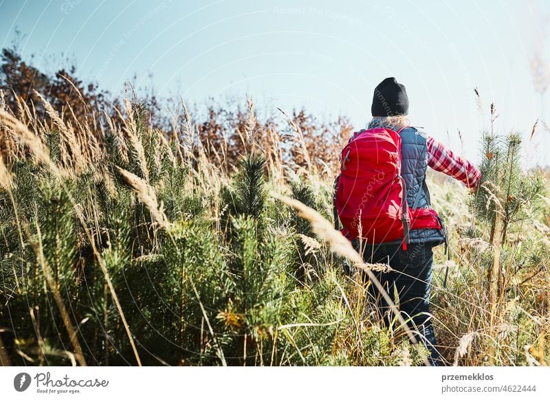 Rear view of young woman hiking on summer sunny day. Woman with backpack hiking through tall grass along path in mountains trip adventure travel vacation